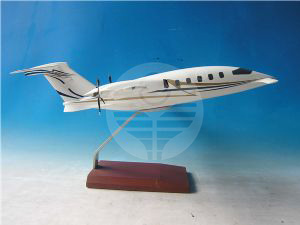 P180“前進(jìn)”